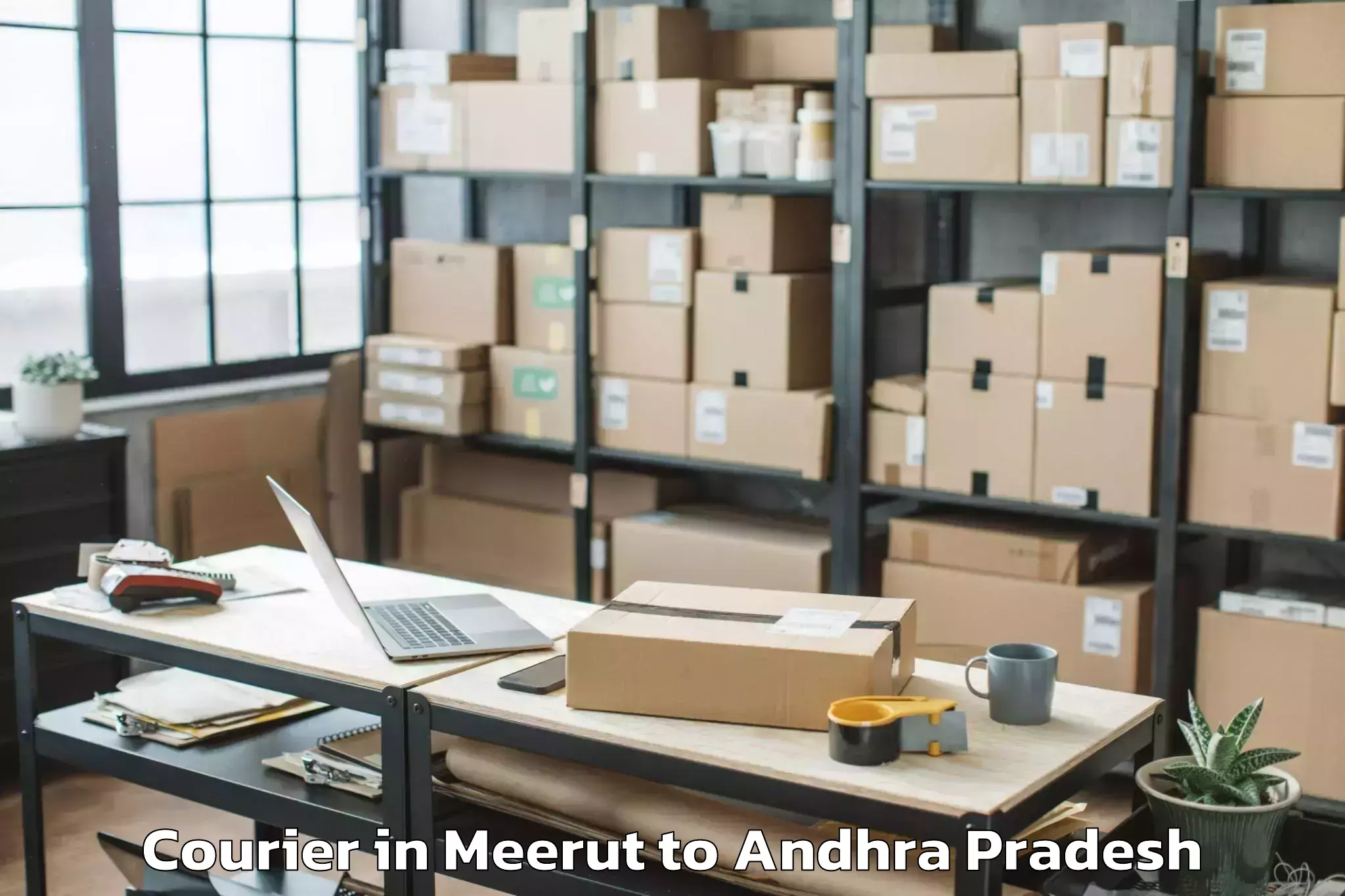 Quality Meerut to Mamidikududru Courier